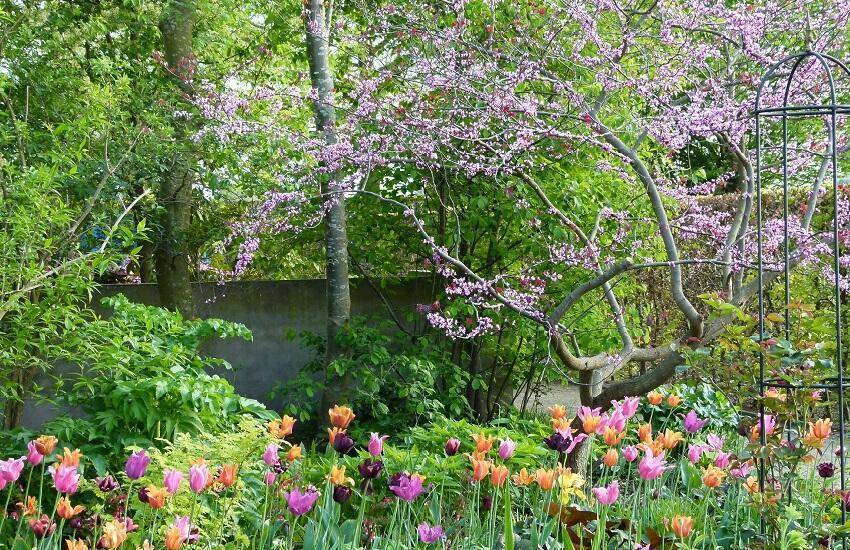 Open Tuinen Midden Brabant De Tuin in vier seizoenen