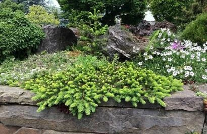 Open-dagen-Kwekerij-Geers