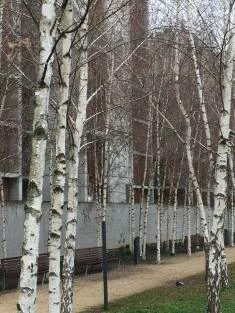 Jardin d’Erevan in het Franse Lyon