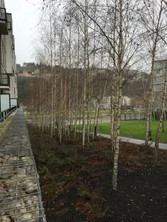 Jardin d’Erevan in het Franse Lyon