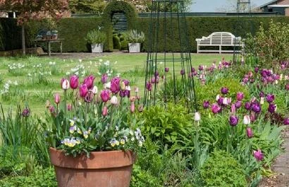 Boschhoeve voorjaarsweekends