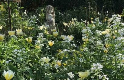 De Tuinerie voorjaar