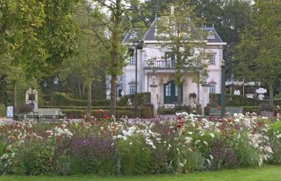 Wisselbeplanting Boeketten met wortels