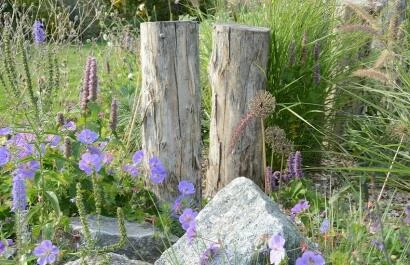 Tuin de pionier-ster