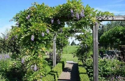 Tuinclub-Lopikerwaard-zomer