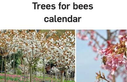 Bijenkalender