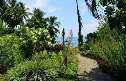 Costa rica