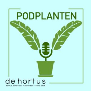 PODPLANTEN