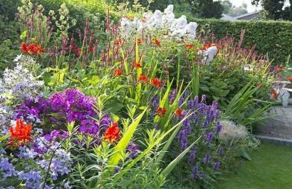 Tuinworkshop Modeste