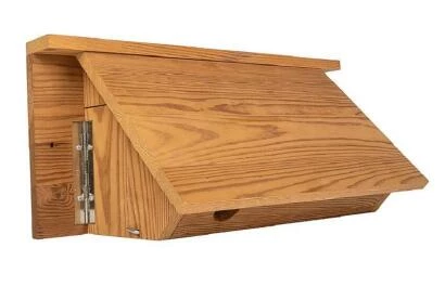 Nieuwe nestkasten voor de huismus