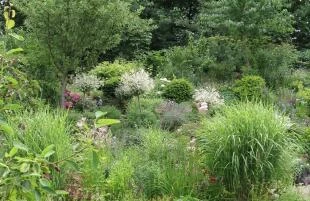 Ellens Tuin