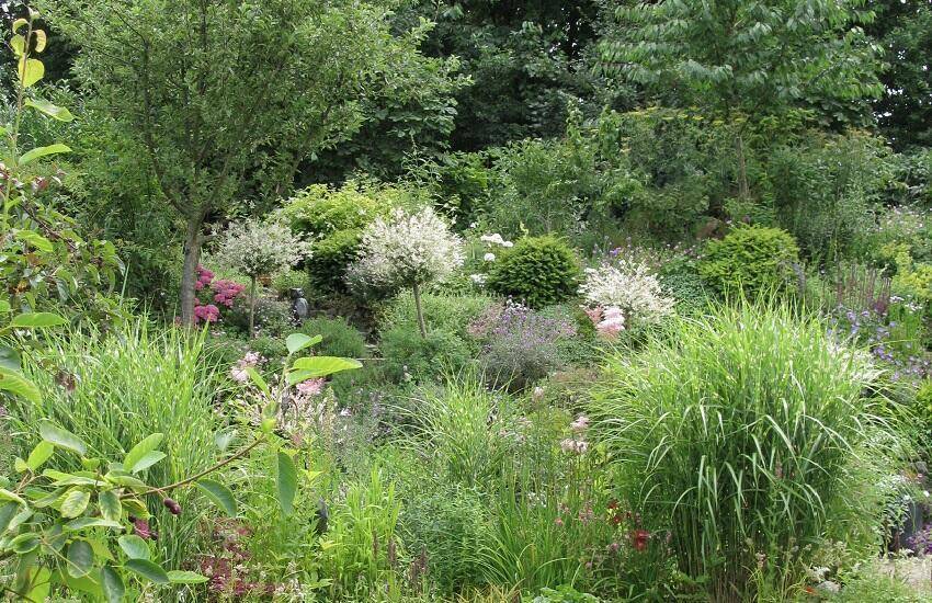 Ellens Tuin