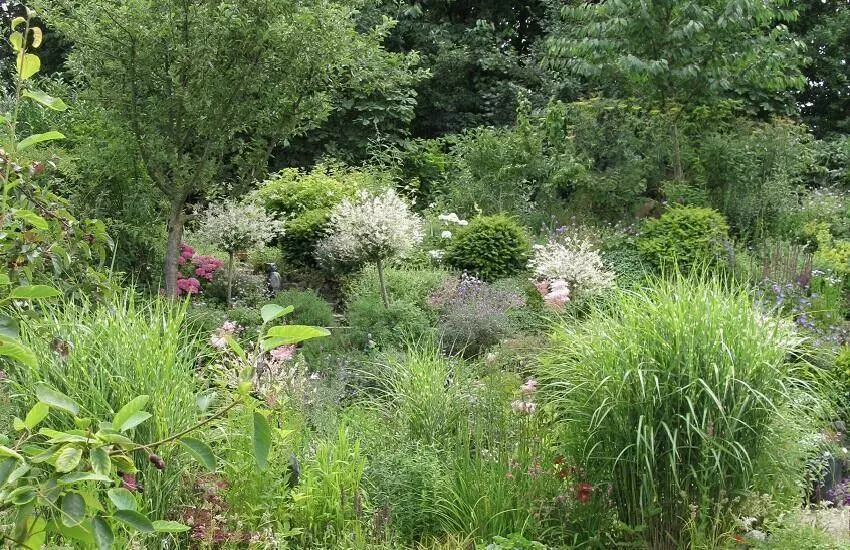Ellens Tuin