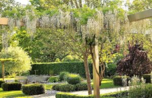 Lancaster Garden