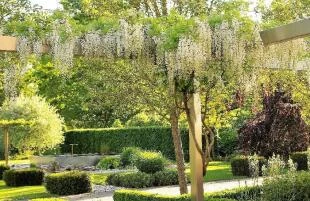 Lancaster Garden
