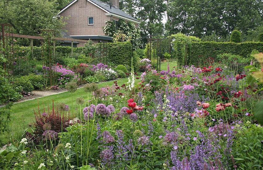 Lipkje Schat Paarse border...........