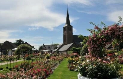 Rozenhof Lottum