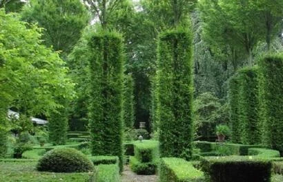 Tuin kunst Hogeland