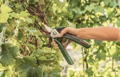 bosch easyprune