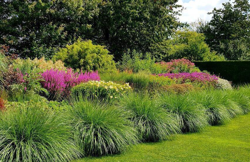 Border Lancaster Garden