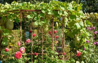Oogstfair De Boschhoeve