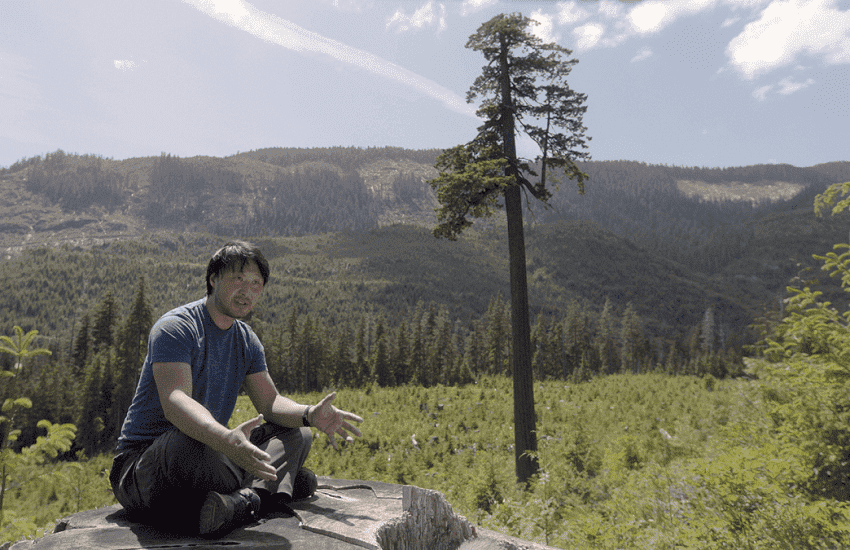 In De Ban Van Het Bos