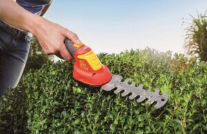 WOLFGarten buxus 