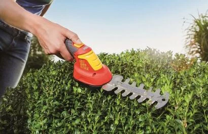 WOLFGarten buxus