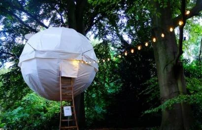 cocoon in a tree