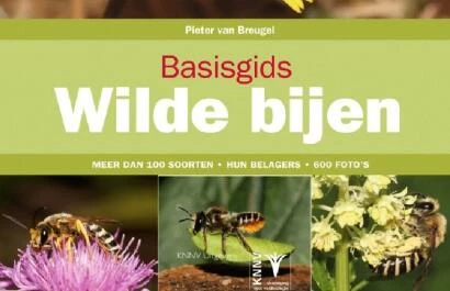 Basisgids Wilde Bijen