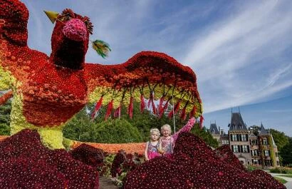 Dahlia dagen