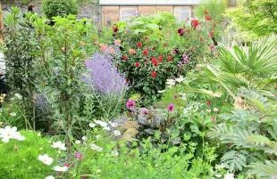 Helen Dillon Garden
