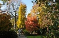 Herfst in Trompenburg