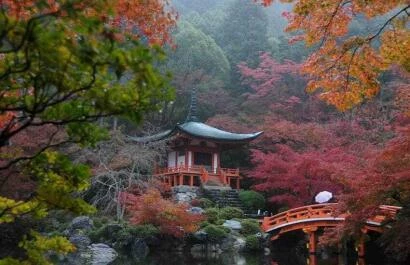 Japan Herfstkleuren Tuinreis Garden Tours