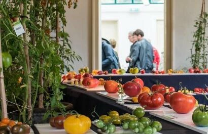 Tomatenfestival Kalmthout