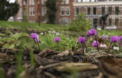 Hortus Leiden