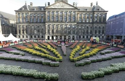 Nationale Tulpendag 2020