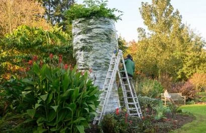 Arboretum Kalmthout boom in plastic