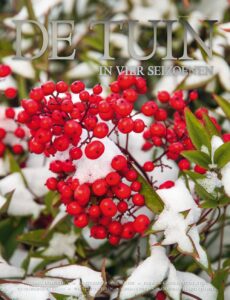 De Tuin in vier seizoenen 29 – winter 2019