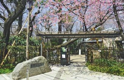 Makino Memorial Garden & Museum