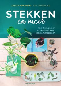 Stekken en meer Judith Baehner