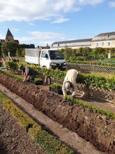 copyright AUB Chateau de Villandry Betterbuxus