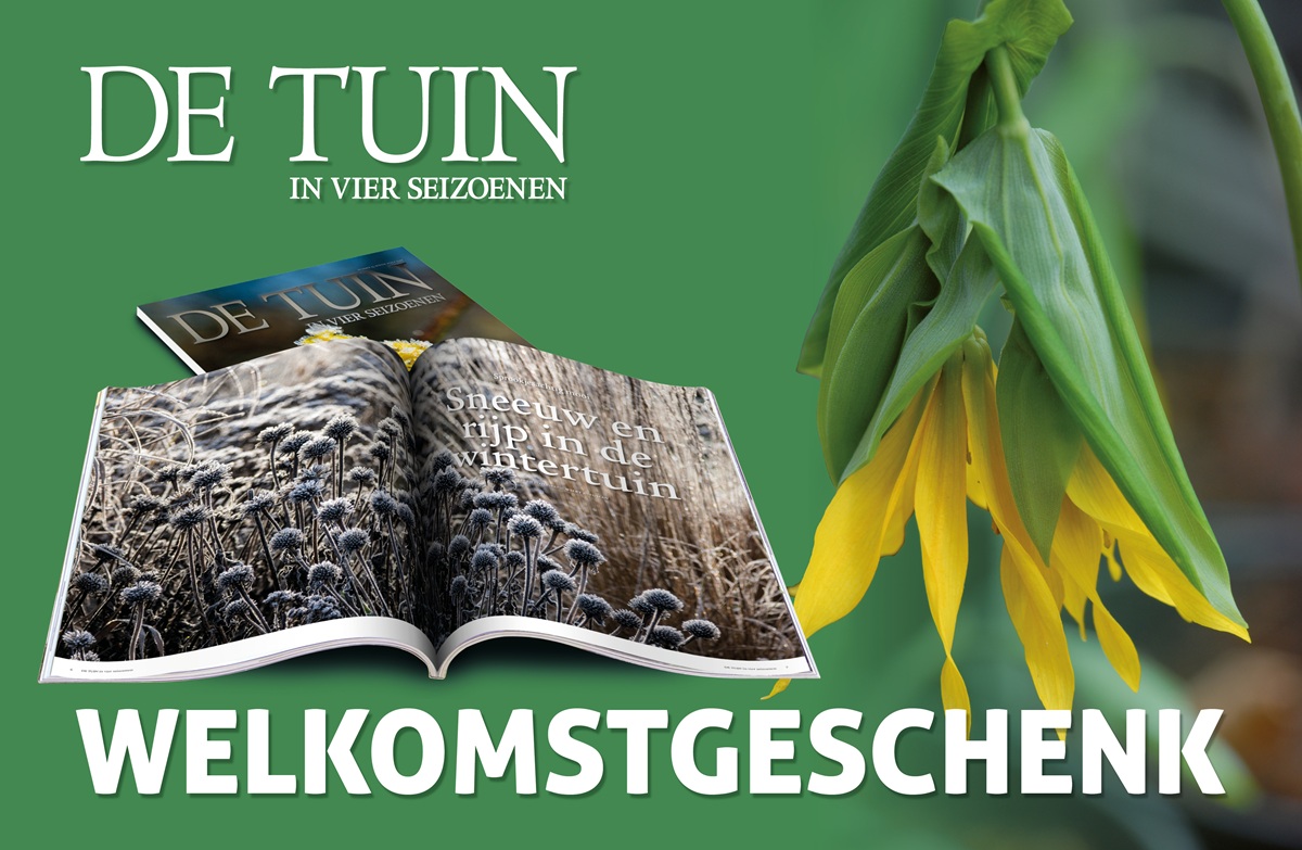De Tuin in vier seizoenen abonnement met welkomstgeschenk