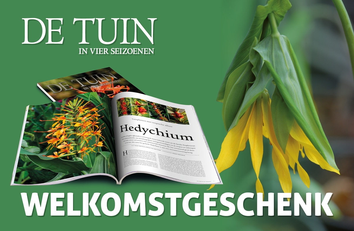 welkomstgeschenk bij tuinblad