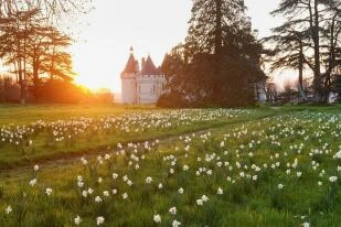 Eric Sander Domaine de Chaumont-sur-Loire