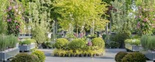 tuincentrum Huiting