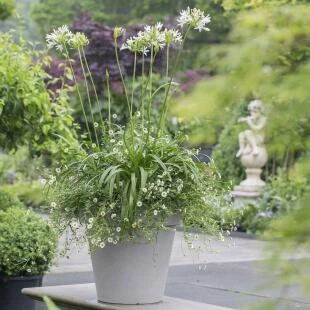 tuincentrum Huiting