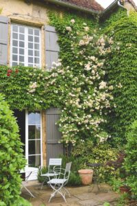 Nederlanders in de Bourgogne
