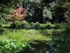 De levende Tuin Geleen