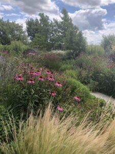 Kwekerij In Goede Aarde Borderplantendagen